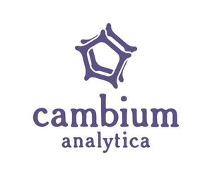 cambium cambium